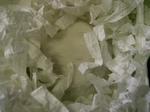 '06 blog 0905.JPG
