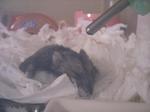 '06 blog 0909.JPG