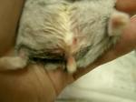 '06 blog 0923.JPG