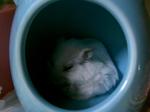 '06 blog 0930.JPG