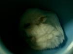 '06 blog 0931.JPG