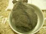 '06 blog 0944.JPG