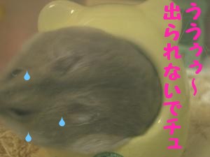 '06 blog 1117.JPG