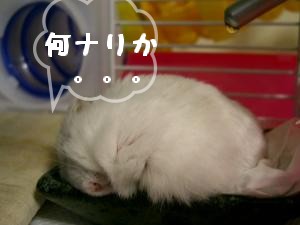 '06 blog 1194.JPG