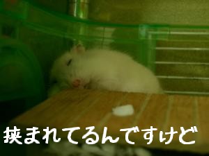 '06 blog 1281.JPG