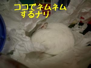 '06 blog 1284.JPG