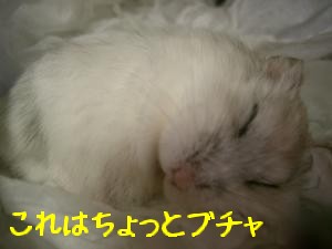 '06 blog 1289.JPG