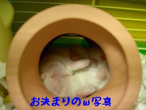 '06 blog 1408.JPG