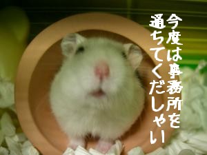 '06 blog 1410.JPG