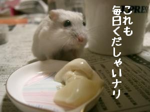 '06 blog 1502.JPG
