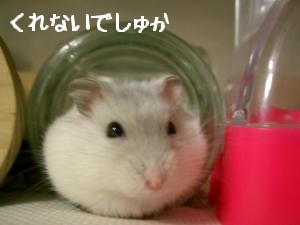 '06 blog 1525.JPG
