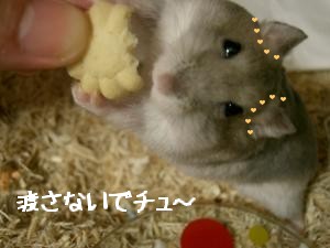 '06 blog 1605.JPG