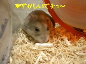 '06 blog 1620.JPG