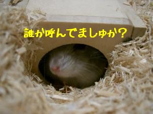 '06 blog 1706.JPG