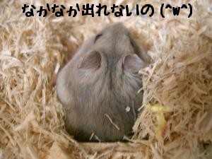 '06 blog 1708.JPG