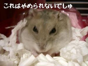 '06 blog 1853.JPG