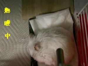 '06 blog 1861.JPG