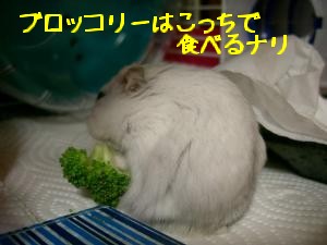 '06 blog 1915.JPG