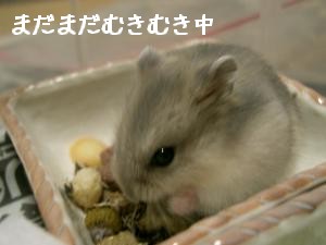 '06 blog 1933.JPG