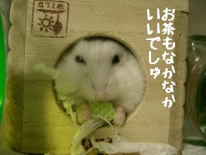 '06 blog 1940.JPG