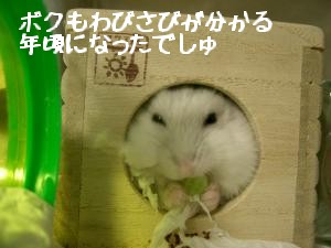 '06 blog 1941.JPG