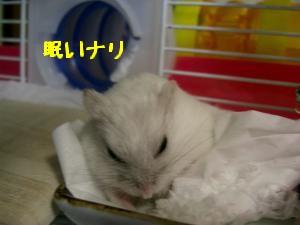 '06 blog 1958.JPG