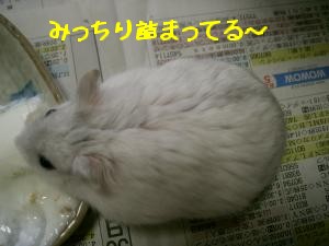'06 blog 1968.JPG