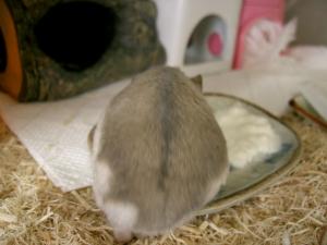 '06 blog用 0055.JPG