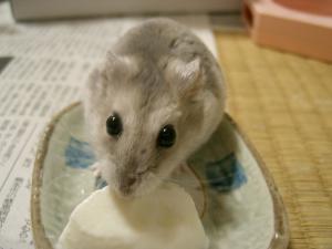 '06 blog用 0089.jpg