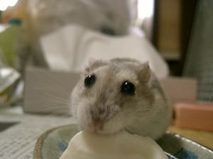 '06 blog用 0090.jpg