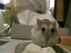 '06 blog用 0092.jpg