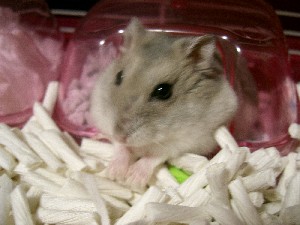 '06 blog用 0093.JPG