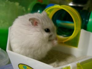 '06 blog用 0101.jpg