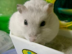 '06 blog用 0102.jpg