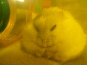 '07 blog用 0034.JPG