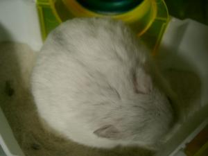 '07 blog用 0037.JPG