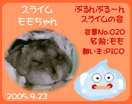 スライムの会 もも.gif
