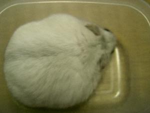 '06 blog用 0041.JPG