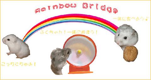 ピースさんより.jpg